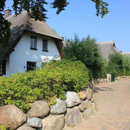 Dünenmeer *