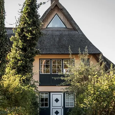 Villa Ferienhaeuser Duenenmeer *
